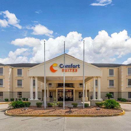 Comfort Suites Port Allen - Baton Rouge מראה חיצוני תמונה